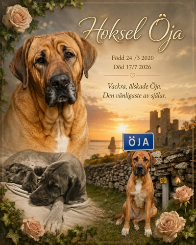 Öja